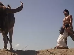Siyah güç sakso çeken türk kadınları kaynağı