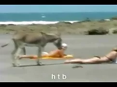 Körfezin ünlü türk kadınların pornosu en iyisi